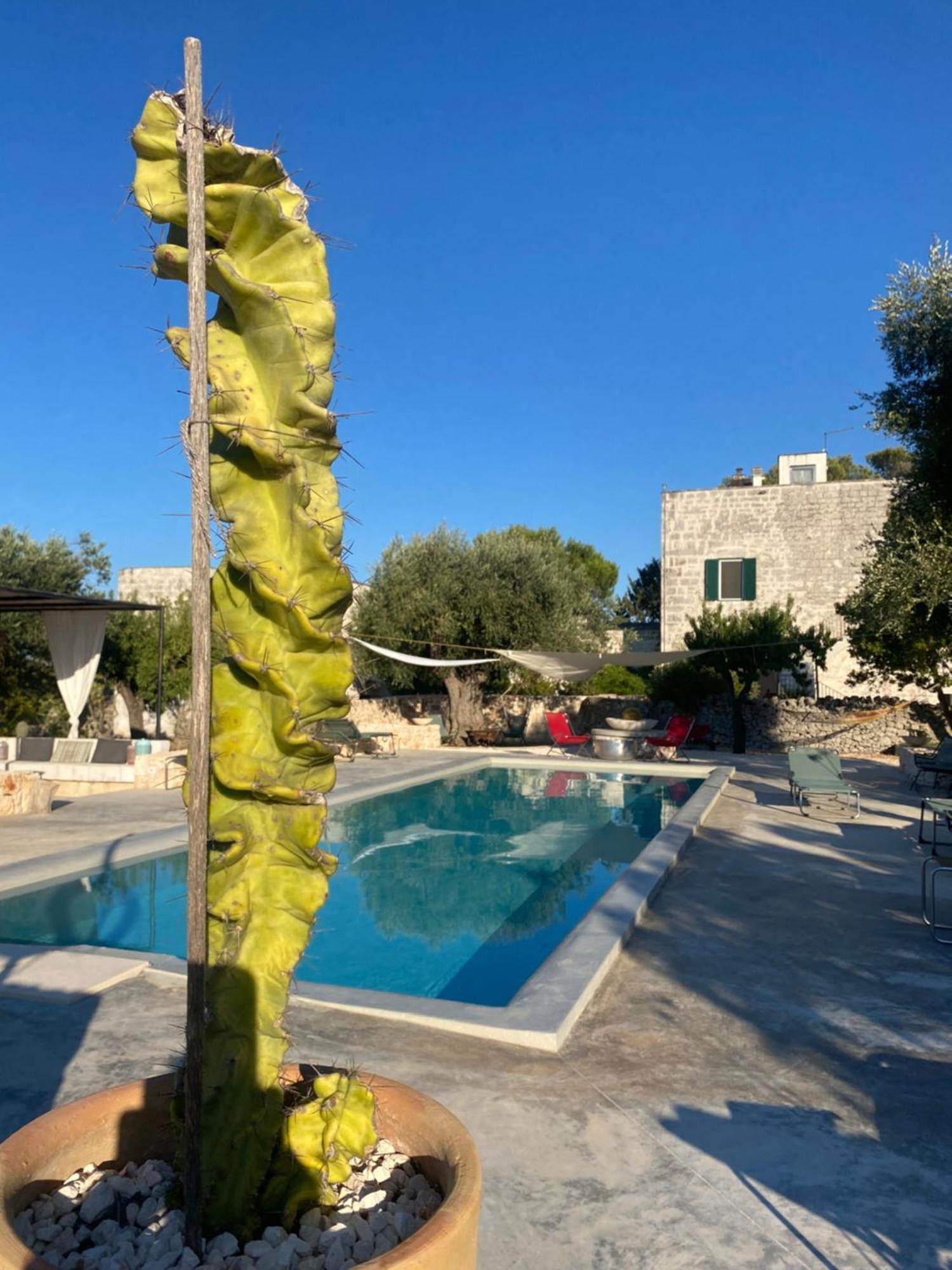 Masseria Serafino Ostuni Dış mekan fotoğraf