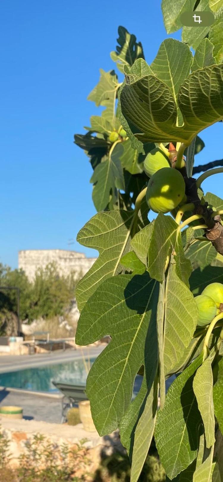 Masseria Serafino Ostuni Dış mekan fotoğraf
